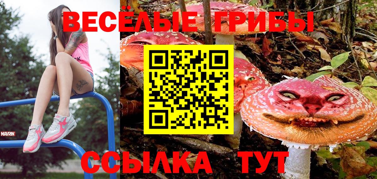 цены наркотик  Галлюциногенные грибы Magic Shrooms  Псилоцибиновые грибы Psilocybe  Вход с VPN  Казань 